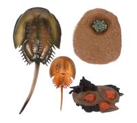 Kisangel Organism Model Life Cycle Toys Educational for Boy Girl Featuring Simulation Toys of Sea Creatures and Animals to Help Boys and Girls Recognize Organisms during Early Learning at h