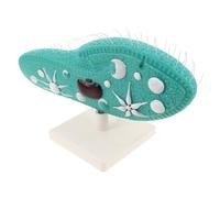 Kisangel Paramecium Anatomy Model with Stable Stand for Middle School Science Detailed Cilia Microscopic Organism Biology Study Aid Easy Installation Educational Lab Equipment for Student