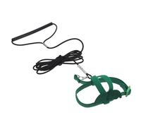 Kisangel Parrot Flight Training Harness and Leash with Cute Wings, Adjustable Outdoor Bird Exercise Harness for Medium Parrots like Conure, Keck Mini Macaw, Green M Size