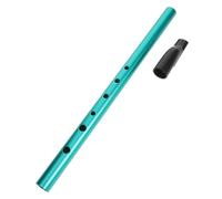 Kisangel Practice Flute Irish Whistle Flute Irish Whistle Small Instruments for Adults Wind Instruments C Key Recorder Dizi Abs Green