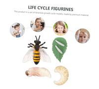 Kisangel Simulation Bee Growth Cycle Model Educational Life Cycle Figurines for Science Learning Montessori Insect Bug Kit for Schools and Museums