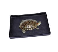 Kisangel Turtle Dock and Food Bowl Large Reptile Feeding Bowl Unbreakable No Mess Easy to Clean Nature-inspired Design for Bathing