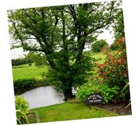 Kisangel Weather-resistant Black Garden Lawn Warning Sign with Clear Please Keep Off The Grass Letters Outdoor Inserted Decoration for Garden Public Spaces