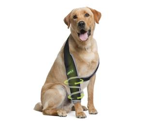 KISFLY Dog Front Leg Brace for Osteoarthritis Elbow Hygroma Dysplasia Shoulder Dislocation Elbow Calluses Dog Elbow Protector Prevent Licking Wound with Reflective Right Leg XL