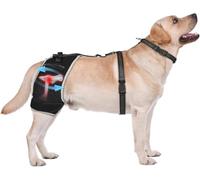 KISFLY Dog Hip Brace with Removable Hot/Cold Gel Pack - Adjustable Hind Leg Support Wrap for A rthritis & Joint Pain Relief, Size M(FBA)