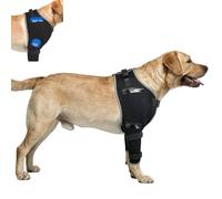 KISFLY Dog Recovery Sleeve M - Front Leg Elbow & Shoulder Protector with Hot/Cold Gel Pack, Anti-Lick, Post-Surgery & Arthritis Relief for Medium Dogs (Border Collie, Husky, Shiba Inu)