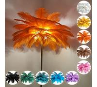 KISFWIU Floor lamp, Feather lamp with 48 Natural Ostrich Feathers with 10 Colors, Extended Feathers Suitable for Living Room, Bedroom, Study, H160cm (Orange)