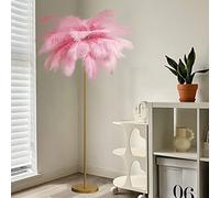 KISFWIU Floor lamp, Feather lamp with 48 Natural Ostrich Feathers with 10 Colors, Extended Feathers Suitable for Living Room, Bedroom, Study, H160cm (pink2)