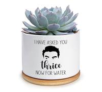 KISJO I Have Asked You Thrice Now for Water Pot, Funny Planters for Indoor Plants Succulent Pots Cactus Pots, Funny Plant Pots for Plant Lovers Women Mom (Plant Not Included)