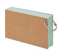 kiskick Index Cards,Study Cards,Colored Index Cards Flash Cards with Metal Ring Smooth Writing Thickened Paper No Ink Bleeding Notecards Ruled Study Cards for Office and School Light Green