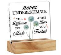 kisoyo Appreciation Gifts for Coworkers Colleagues, Retirement Gifts Never Underestimate the Difference You Made and the Lives You Touched Clear Acrylic Sign Presents 4x4 Inch