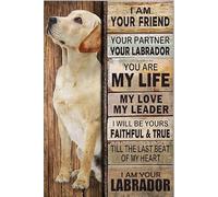 kisoyo Fun Dog Metal Sign I Am Your Friend I Am Your Labrador Rustic Decor Retro Sign Home Kitchen Bar Cafe Club Cave Wall Decor Vintage Tin Sign 12x16 Inch
