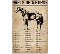 kisoyo Horse Knowledge Metal Tin Sign Parts Of Horse Retro Poster Cafe Farm Living Room Bathroom Kitchen Home Art Wall Decoration Plaque Gift 12x16 Inch