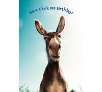 Kiss Ass Birthday Donkey Birthday Greeting Card 125mm x 178mm Including Envelope GC1077