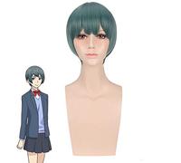 Kiss Him Not Me Nishina Shima Women Short Wig Cosplay Watashi Ga Motete Dosunda Heat Resistant Synthetic Hair Wig+ Free Wig Cap Nishina Shima