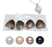 Kiss Me Natural Oyster Pearl With DIY Necklace, Pearl Locket Cage 18''