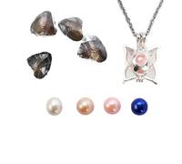 kiss me Natural Oysters With Pearl Inside, Pearl Oysters with DIY Necklace Kit locket Cage Silver Necklace pendant 18'',Anniversary Decoration for Jewelry Making Gifts (4PCs/Lot, Butterfly Necklace)