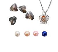 kiss me Natural Oysters With Pearl Inside, Pearl Oysters with DIY Necklace Kit locket Cage Silver Necklace pendant 18'',Anniversary Decoration for Jewelry Making Gifts (4PCs/Lot, Crown Necklace)