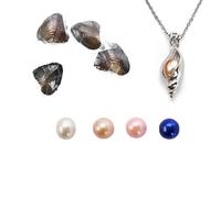 kiss me Natural Oysters With Pearl Inside, Pearl Oysters with DIY Necklace Kit locket Cage Silver Necklace pendant 18'',Anniversary Decoration for Jewelry Making Gifts (4PCs/Lot, Conch Necklace)