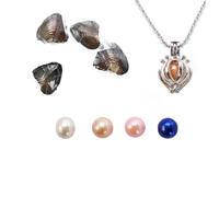 kiss me Natural Oysters With Pearl Inside, Pearl Oysters with DIY Necklace Kit locket Cage Silver Necklace pendant 18'',Anniversary Decoration for Jewelry Making Gifts (4PCs/Lot, Lantern Necklace)