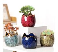 kiss me Succulent Pots with Drainage Set of 4, Unique Dragon Egg Shell Design Ceramic Small Flower Pot 8CM Cactus Planter Pots Mini Cacti Planter Home Office Windowsill Decor (Dragon Egg)