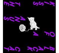 Kiss the Anus of a Black Cat - An Interlude to the.. [VINYL]