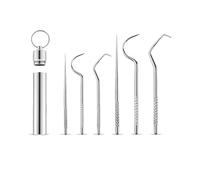 Kisstta 6 Piece Portable Toothpick Set, 304 Stainless Steel Toothpicks, Reusable Portable Toothpicks, Metal, Ideal for Travel, Camping, Picnic