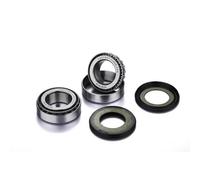 Factory Links Bmwmoto Guzzivoge 100203166 Front Wheel Bearing&seal Kit Silver