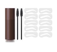 Kit de plantillas para sellos de cejas, 10 plantillas, 2 pinceles, plantillas reutilizables para cejas, kit de estampado y modelado de cejas, sello en polvo para relleno de cejas (Dark Brown)
