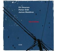 Kit Downes, Petter Eldh & James Maddren - Vermillion (LP) [VINYL]