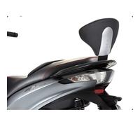 SHAD Mounting Kit Backrest