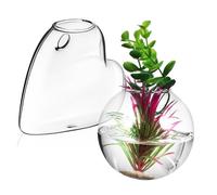 KITANDOVE 2Pcs Wall Planters High Borosilicate Glass Hanging Planters for Indoor Plants Hydroponics Vases for Wall Decoration Terrarium Holders for Home Greenery Decor