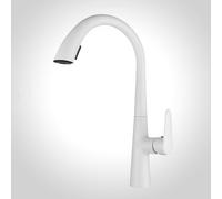 Kitchen and Bathroom Faucet, 360° Swivel Mixer Tap with Pull Down Spray, Swan Neck Design, Modern Sink Faucet, Flexible Water Mixer