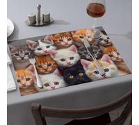 Kitchen And Dining Adorable Kittens Gaze Into Your Soul Dining Place Mats Washable Placemats Easter Table Decorations(4PCS)