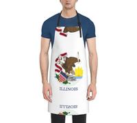 Kitchen Apron - with 2 Pockets Funny Apron/Waterproof DishWashing Aprons for Baking Cleaning print Illinois State Flag