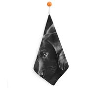 Kitchen Black Labrador Puppy Hand Towels with Hanging Loops, Highly Absorbent & Quick Drying Towels for Kitchen Bathroom, Microfiber Cleaning Cloth, Dish Towel, Tea Towel Decorative, Dish Rag(12x12)