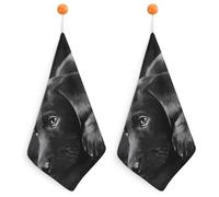 Kitchen Black Labrador Puppy Hand Towels with Hanging Loops, Highly Absorbent & Quick Drying Towels for Kitchen Bathroom, Microfiber Cleaning Cloth, Dish Towel, Tea Towel Decorative, Dish Rag(12x12)