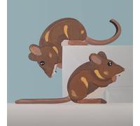 Kitchen Buddies Field Mice Hand Painted Wooden Corner Decorations - Set of 2 - Left or Right Facing - Perfect For Door Frames, Cupboards, Light Switches, Pictures & More (Right Facing)