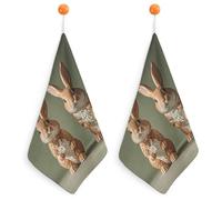 Kitchen Bunny Statue Hand Towels with Hanging Loops, Highly Absorbent & Quick Drying Towels for Kitchen Bathroom, Microfiber Cleaning Cloth, Dish Towel, Tea Towel Decorative, Dish Rag(12x12)