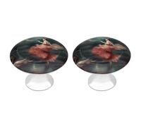 Kitchen Cabinet Knobs 2 Pack, Modern Style Drawer Dresser Knob Pulls A Night of Miracles and Magic Round Drawer Knobs for Home Office Kitchen