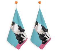Kitchen Cat Sit Down Hand Towels with Hanging Loops, Highly Absorbent & Quick Drying Towels for Kitchen Bathroom, Microfiber Cleaning Cloth, Dish Towel, Tea Towel Decorative, Dish Rag(12x12)