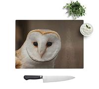 Kitchen Chopping Board Glass - Barn Owl 2 - Textured Worktop Saver Cutting Board - Heat Resistant, Shatterproof and Hygenic - 39 x 28.5 cm