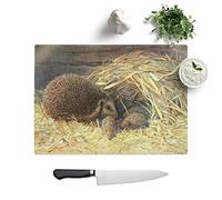Kitchen Chopping Board Glass - Vintage Walter Heubach Hedgehogs - Textured Worktop Saver Cutting Board - Heat Resistant, Shatterproof and Hygenic - 39 x 28.5 cm