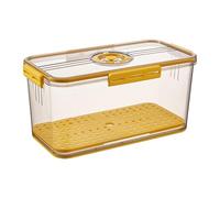 Kitchen Counter Container, Time Recording, Storage Container, Hermetic Saver, Container, Container for Preserving Freshness and Flavour