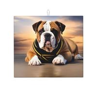 Kitchen countertop Absorbent pad WHJSSF English-Bulldog Pattern Non-Slip and Quick-Drying for Storing Tableware and Cleaning countertops 18 x 16 in