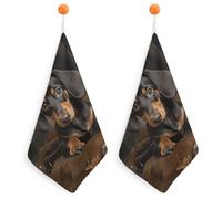 Kitchen Cute Dachshund Hand Towels with Hanging Loops, Highly Absorbent & Quick Drying Towels for Kitchen Bathroom, Microfiber Cleaning Cloth, Dish Towel, Tea Towel Decorative, Dish Rag(12x12)
