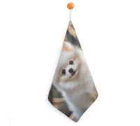 Kitchen Cute Pomeranian Dog Hand Towels with Hanging Loops, Highly Absorbent & Quick Drying Towels for Kitchen Bathroom, Microfiber Cleaning Cloth, Dish Towel, Tea Towel Decorative, Dish Rag(12x12)