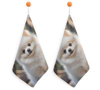 Kitchen Cute Pomeranian Dog Hand Towels with Hanging Loops, Highly Absorbent & Quick Drying Towels for Kitchen Bathroom, Microfiber Cleaning Cloth, Dish Towel, Tea Towel Decorative, Dish Rag(12x12)