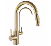 Kitchen Faucet Rea Eco Fresh Brush Gold Brass