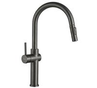 Kitchen Faucet Rea Fresh Titanium High